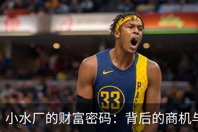 小水厂的财富密码：背后的商机与挑战